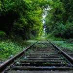 this-extraordinary-life